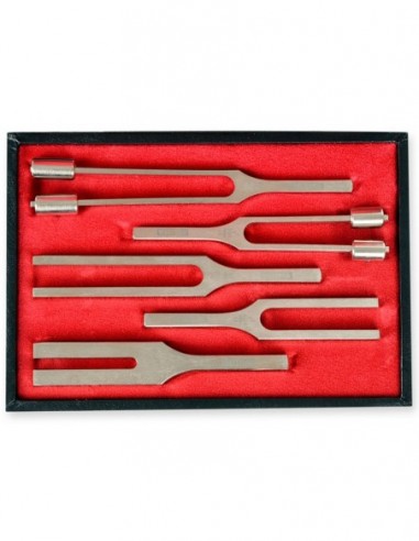 Diapason Lega Precisione - Set 5 Pezzi